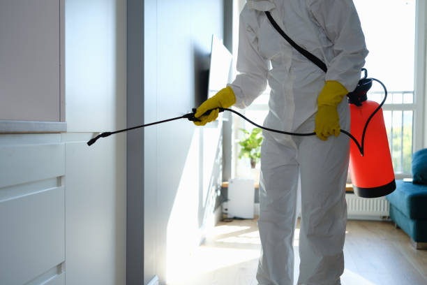 Certified Mold Removal in Johnsonville, SC